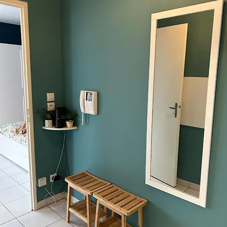 Joli Confort Apartment Toulouse
